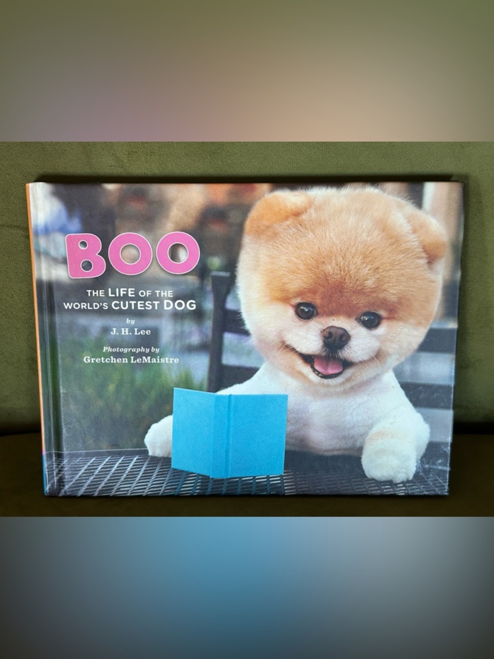 Boo: The Life of the World's Cutest Dog photo book by J. H. Lee